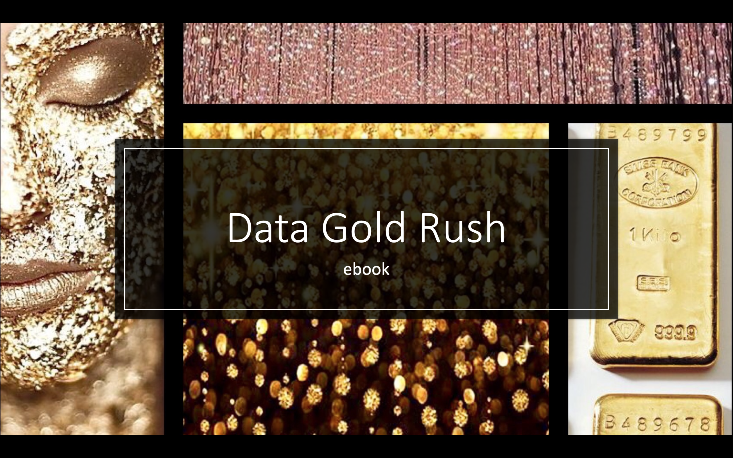 Data Gold Rush.png