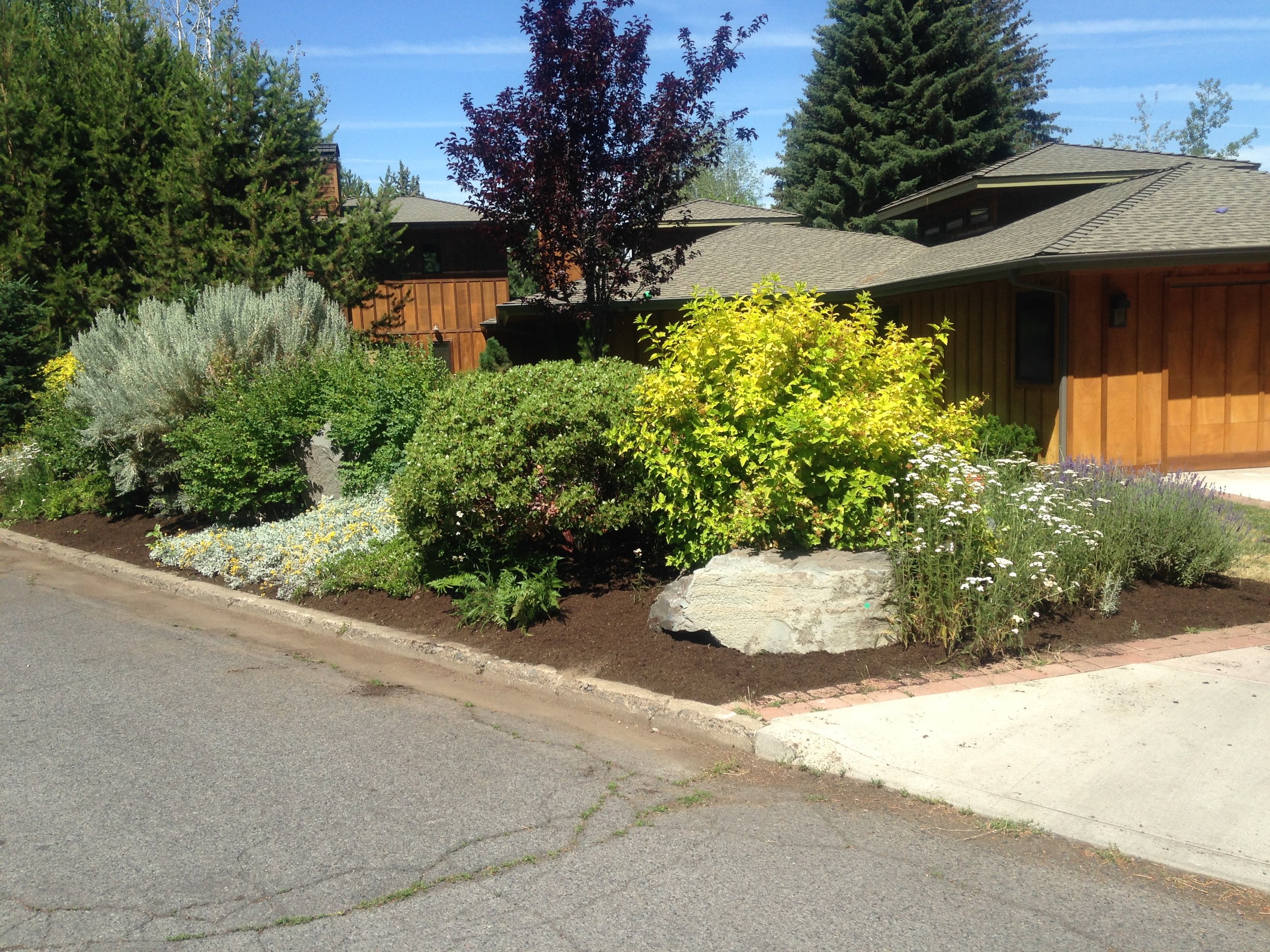 jenny cell pictures 2014-2015 192.JPG