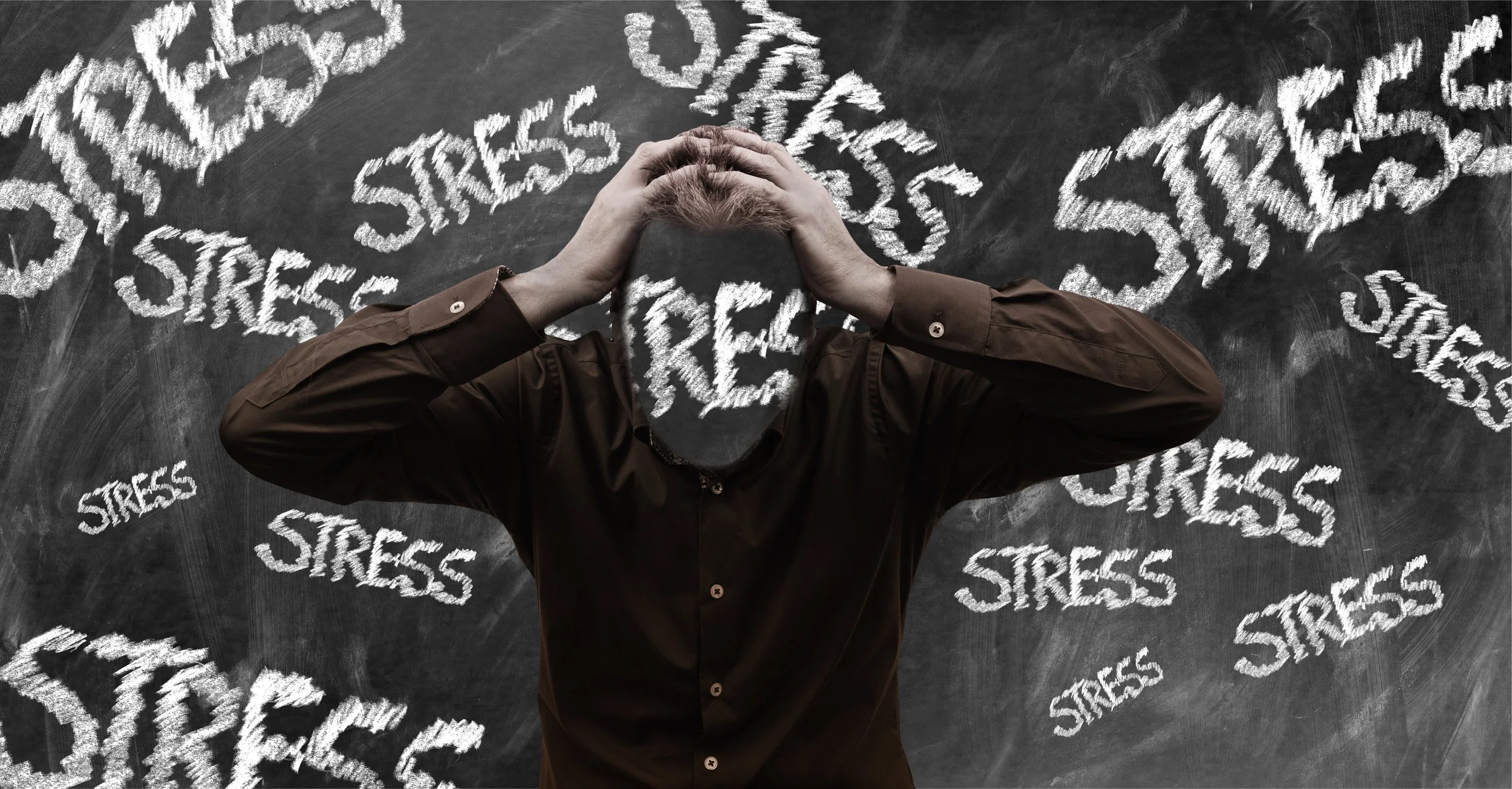 Why Seek Therapy Now?