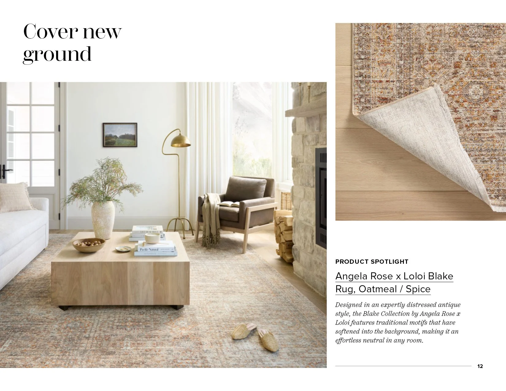 2023-HouzzSpringAndSummer_Lookbook_typeexploration212.jpg