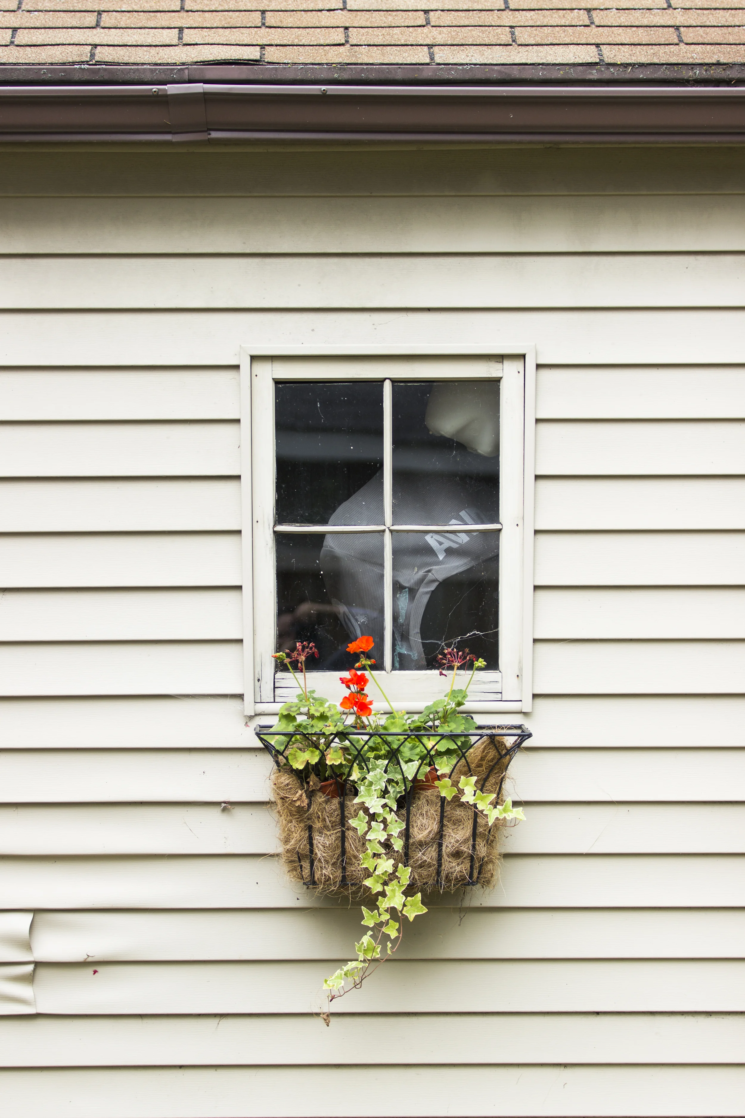 HG_Burling_Freelance_ALU_PlantPhotography1_47.jpg