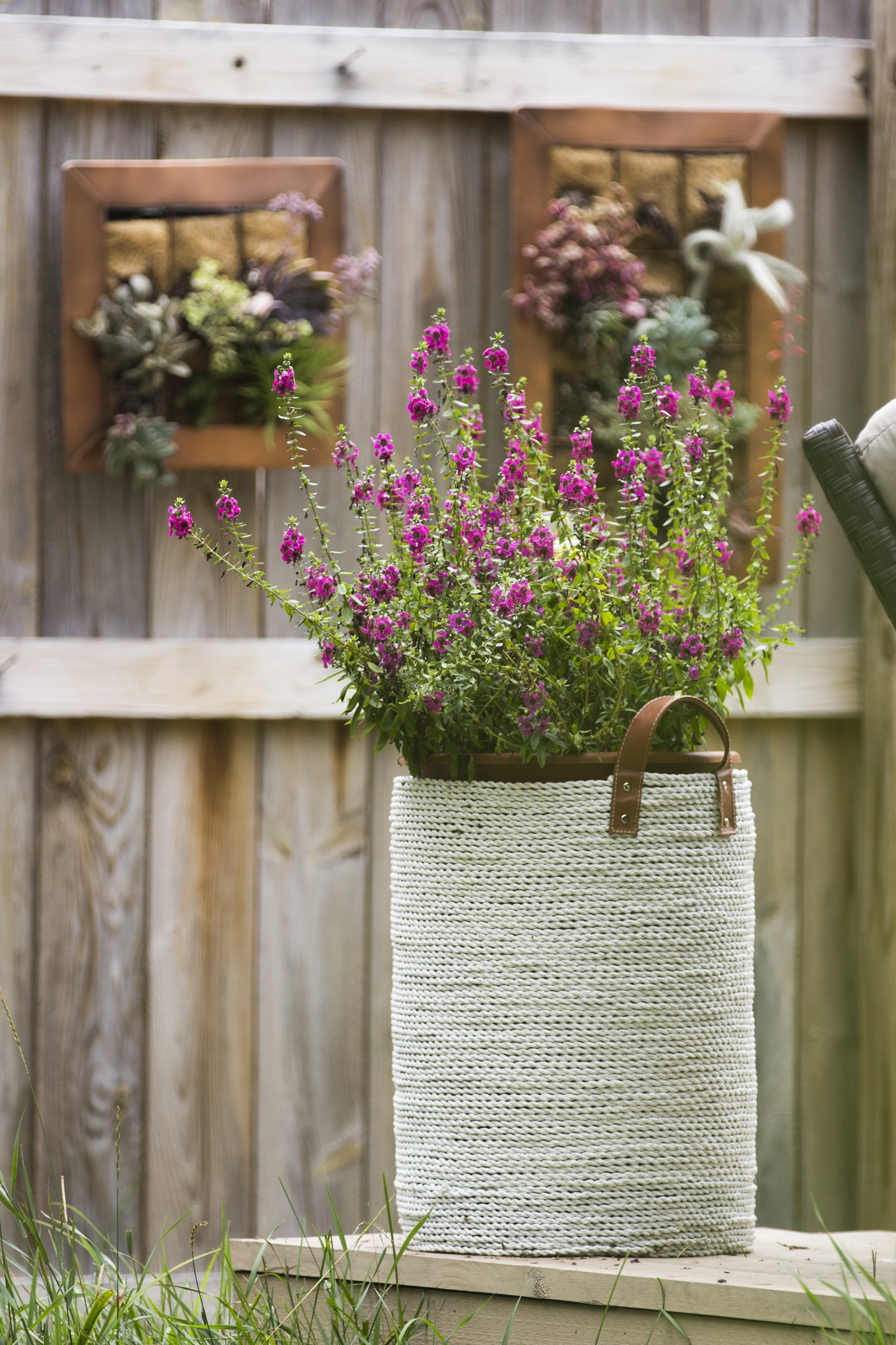 HG_Burling_Freelance_ALU_PlantPhotography01.jpg