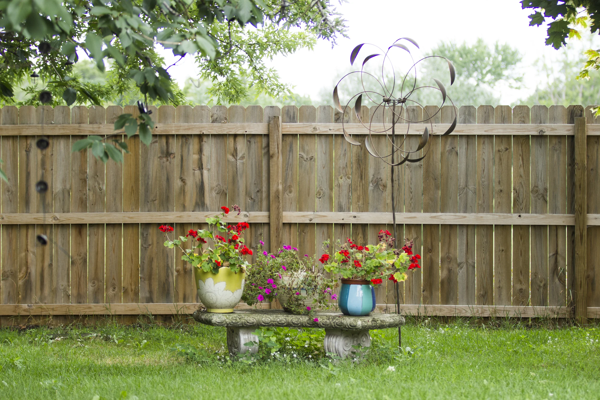 HG_Burling_Freelance_ALU_PlantPhotography1_44.jpg