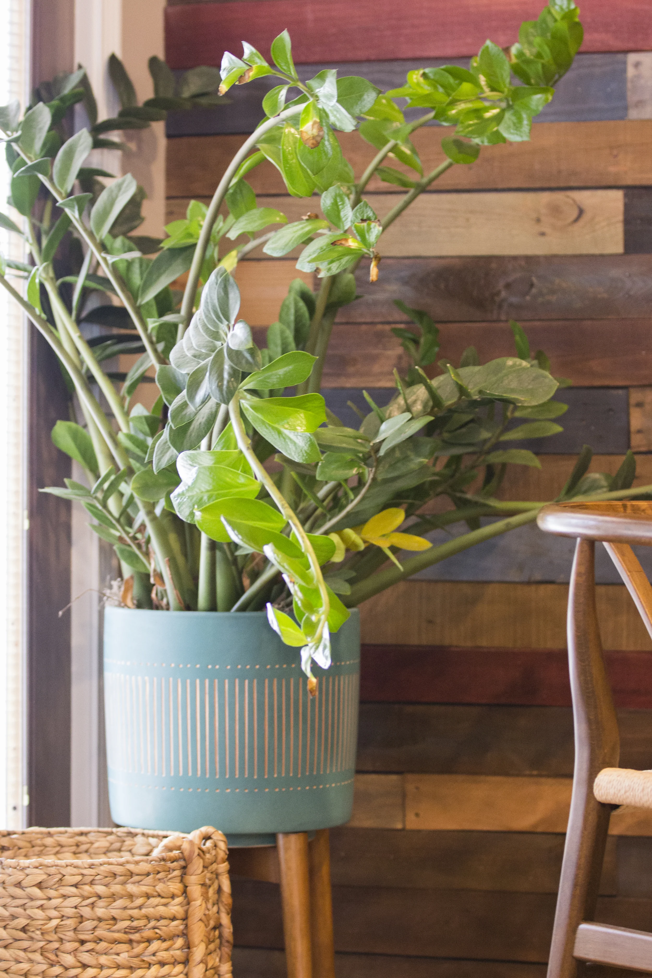HG_Burling_Freelance_ALU_PlantPhotography1_17.jpg