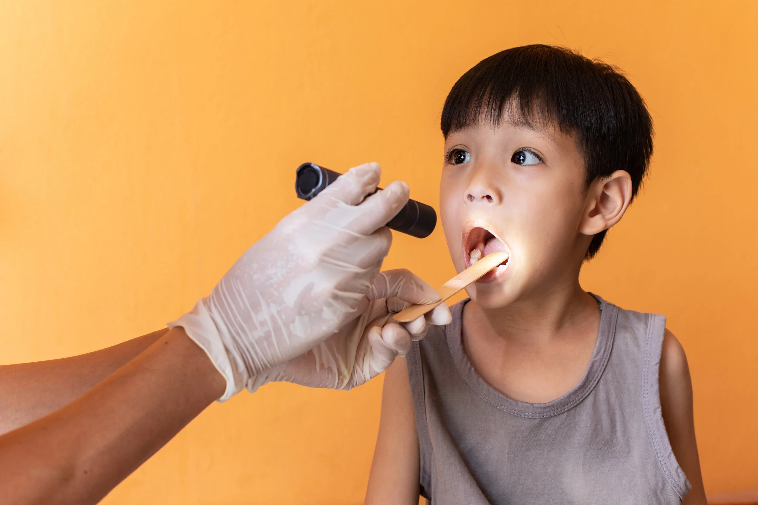 What Does The Esophagus Do? A Complete Overview Of The Esophagus
