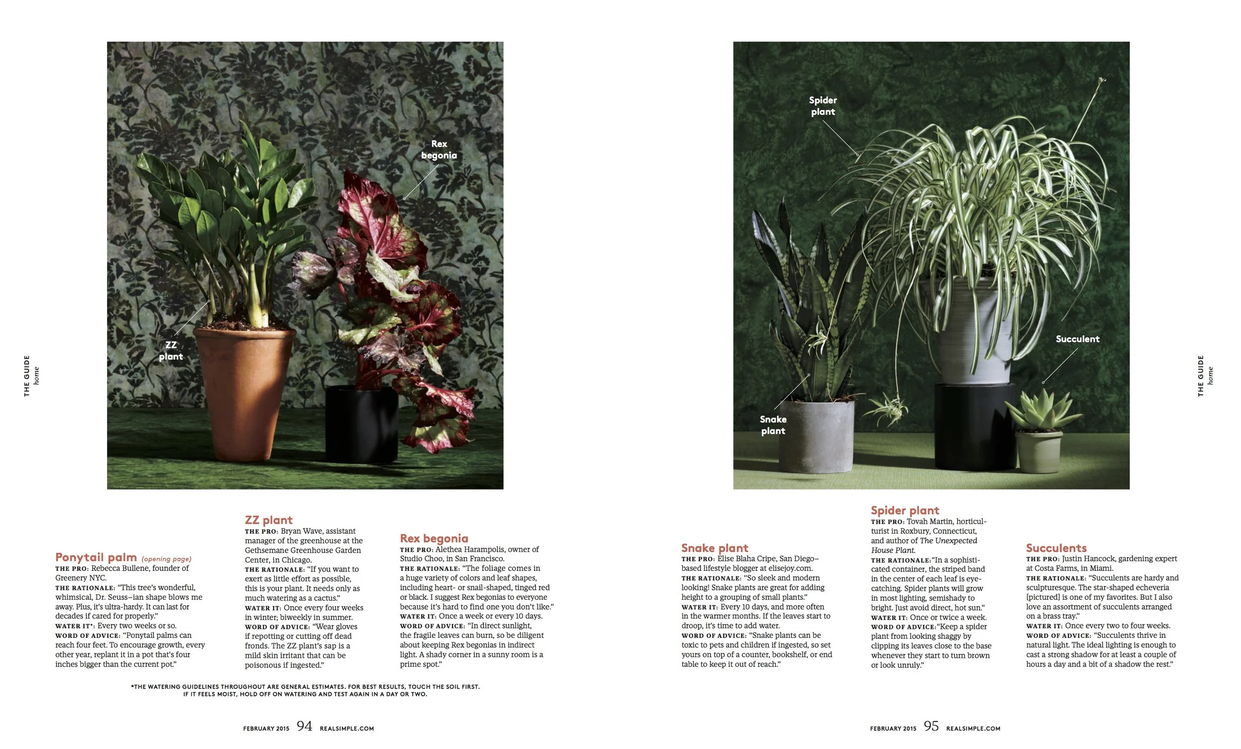 plants 2.jpg