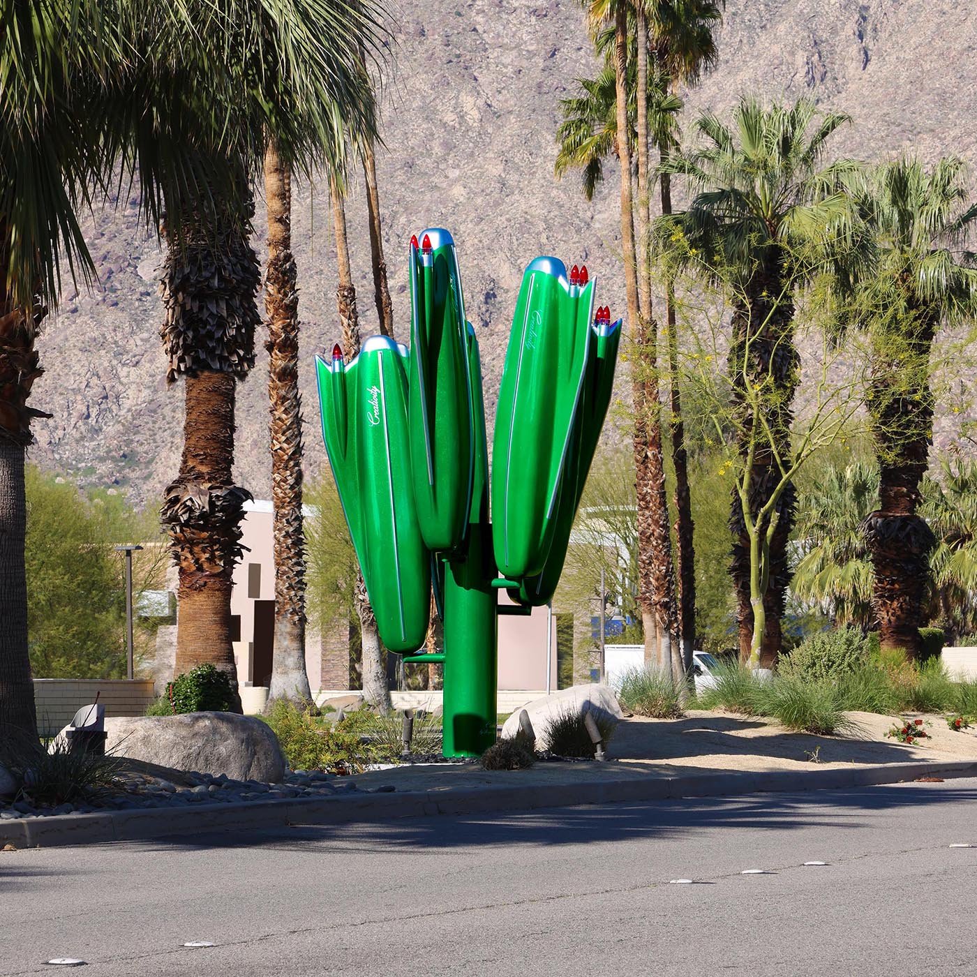 2_Reutimann_Cadillactus_mountain_72.jpg