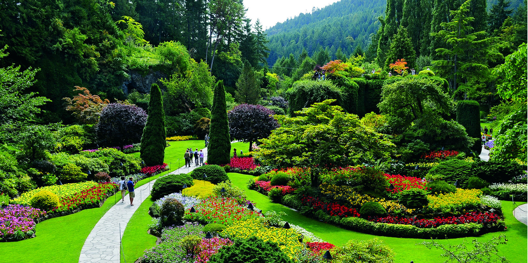 Butchart-Gardens-Sunken-Garden-Summer.jpg