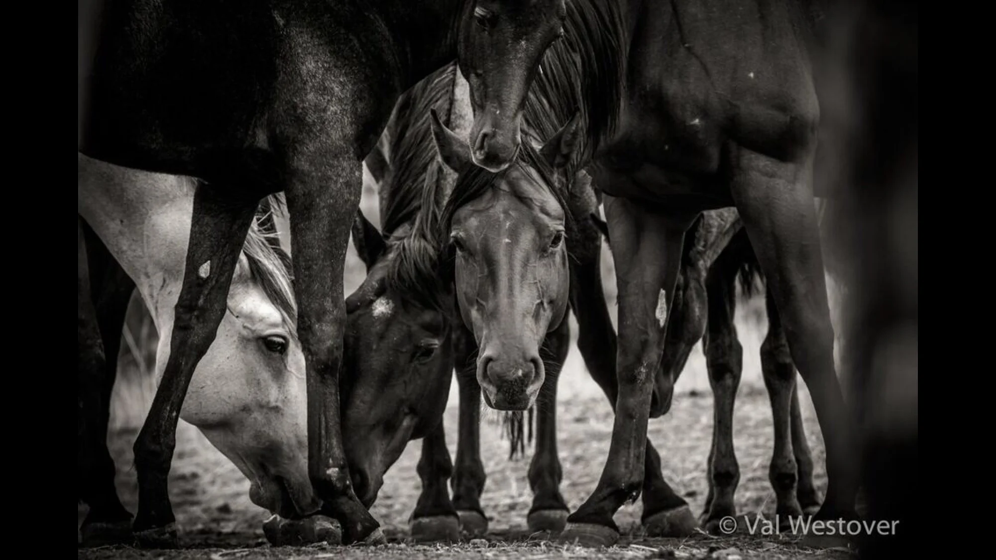 Photography expeditions adding epic adventure to our lives