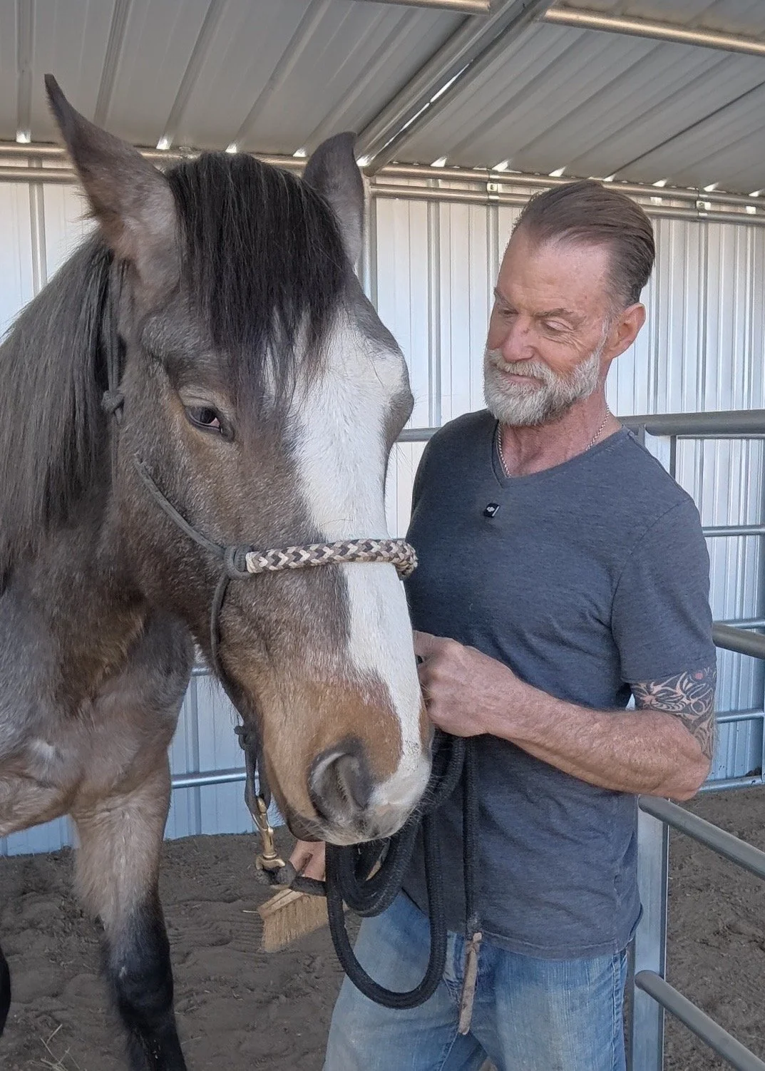 A Quick Update From Val And His Horse "Duvall"