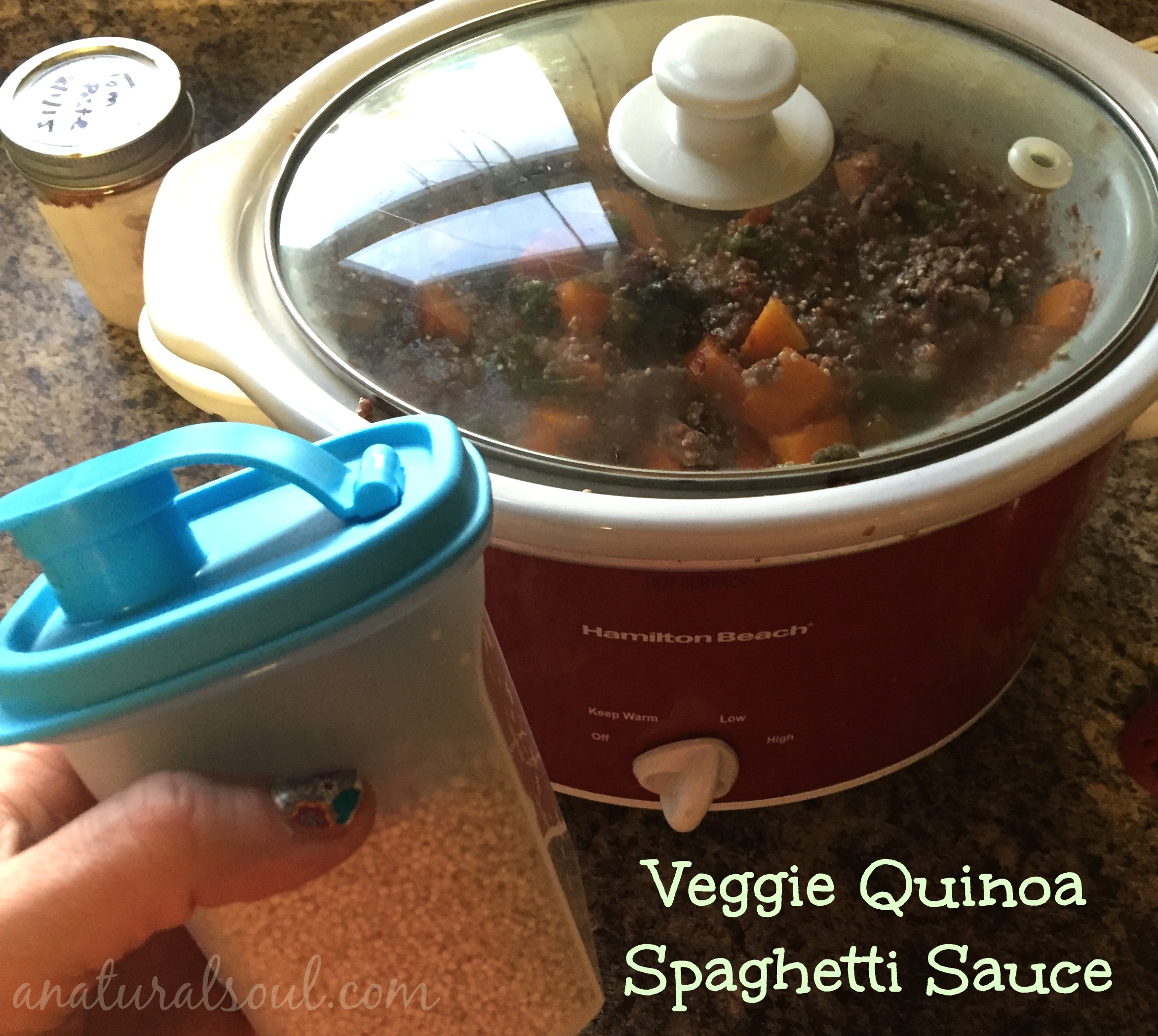 Veggie Quinoa Spaghetti sauce