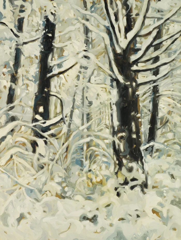 SNOW ON SALT SPRING ONE | oil on canvas | 36" x 48"