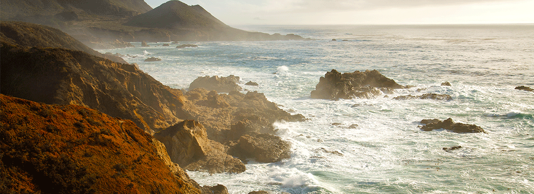 pacific coast 2.gif