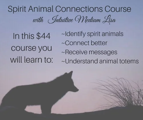 Spriti Animal Connections.jpg