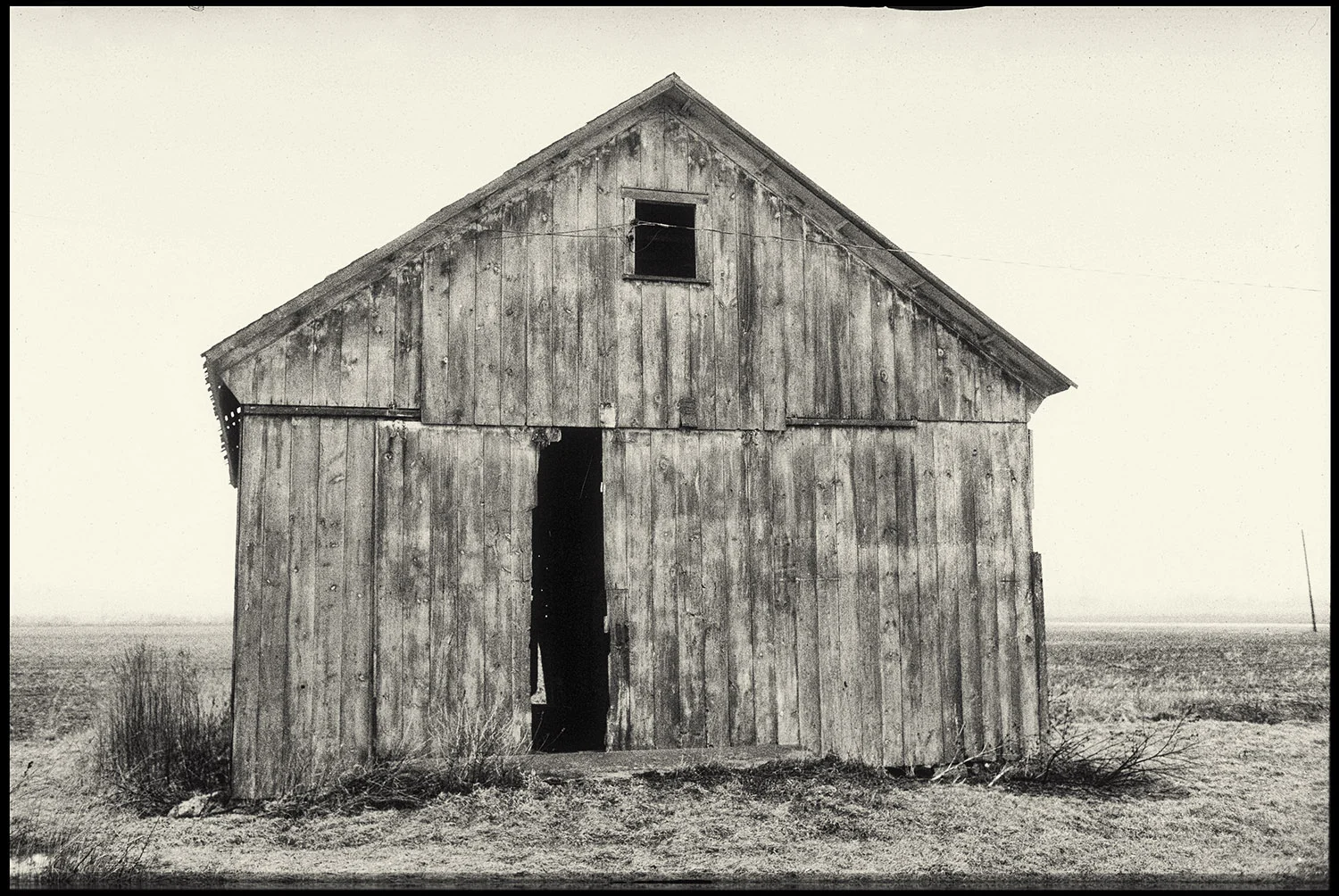 "Shed"