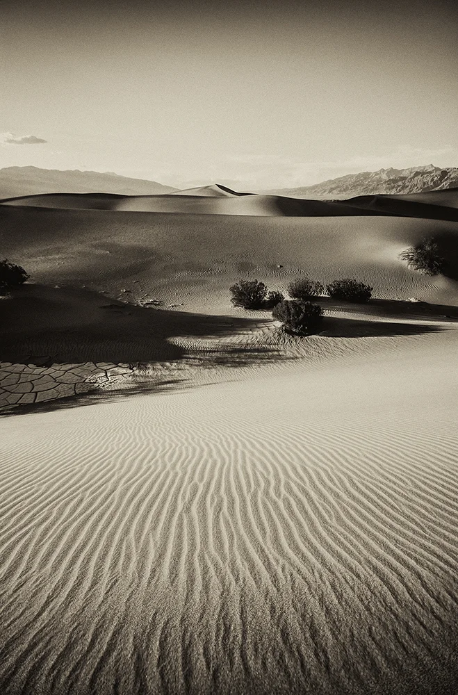 jlattanzio_mfsdunes_004_5499.jpg
