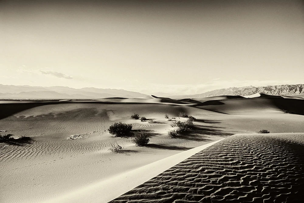 jlattanzio_mfsdunes_013_5471.jpg