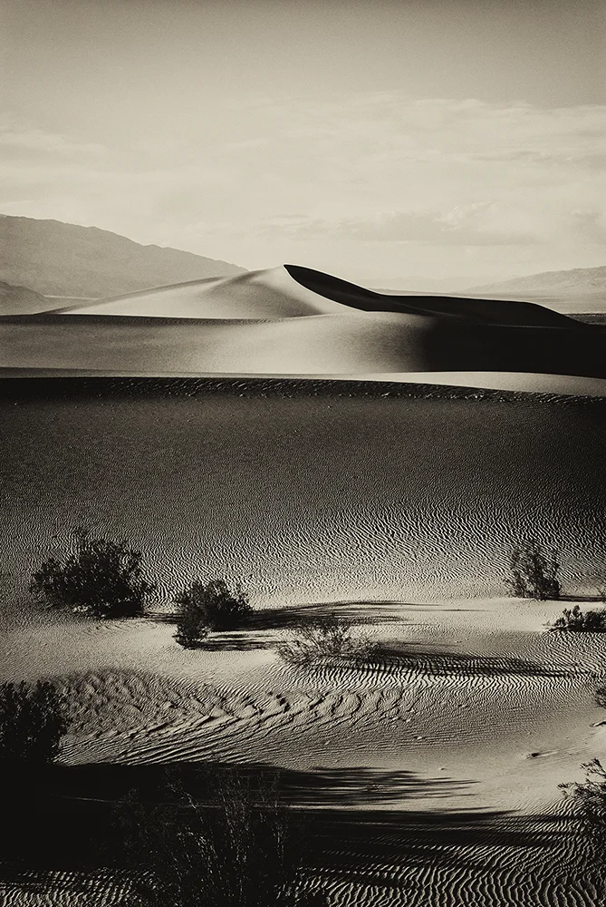 jlattanzio_mfsdunes_001_5481.jpg