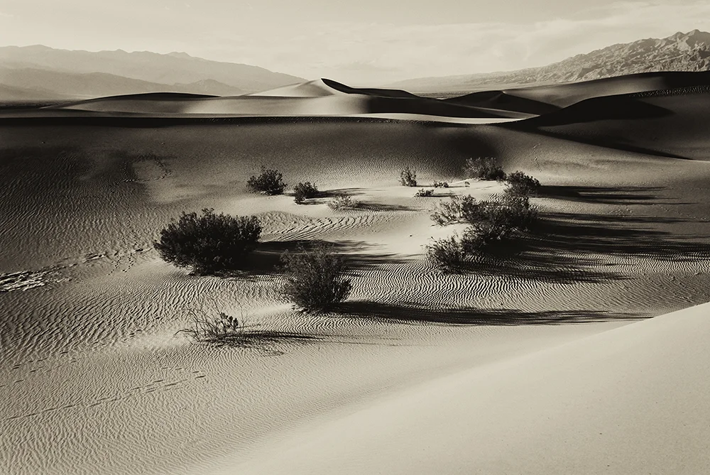 jlattanzio_mfsdunes_014_5475.jpg