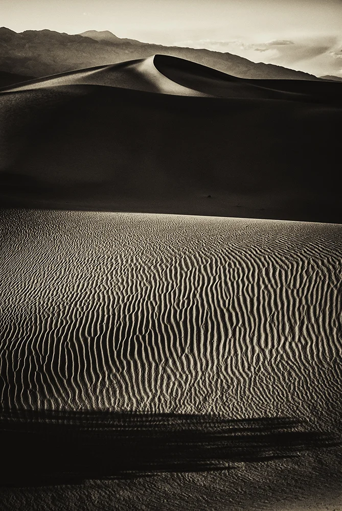 jlattanzio_mfsdunes_015_5519.jpg