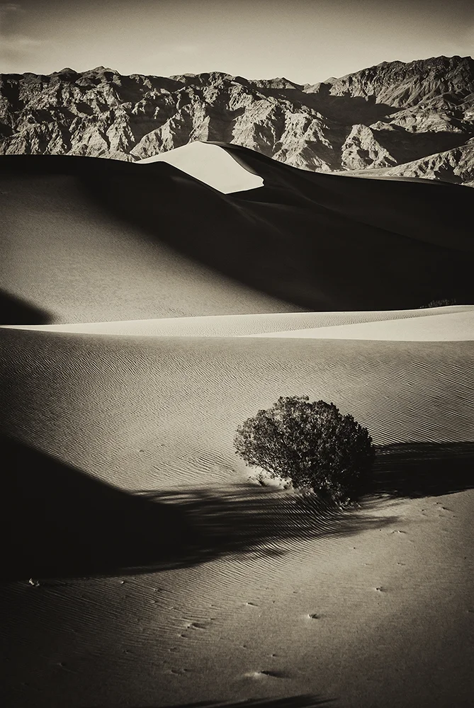 jlattanzio_mfsdunes_002_5482.jpg
