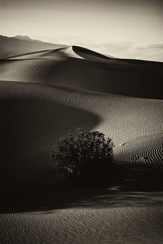jlattanzio_mfsdunes_006_5516.jpg