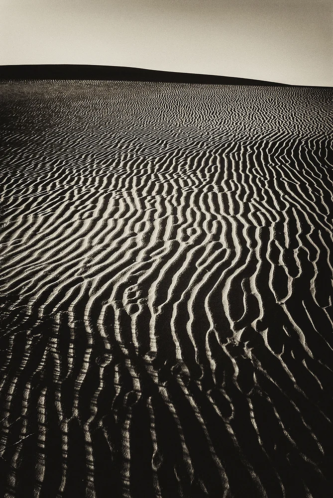 jlattanzio_mfsdunes_007_5469.jpg