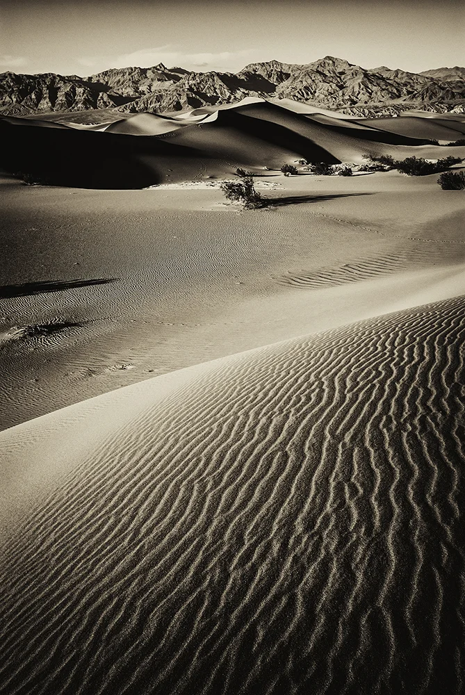 jlattanzio_mfsdunes_008_5477.jpg