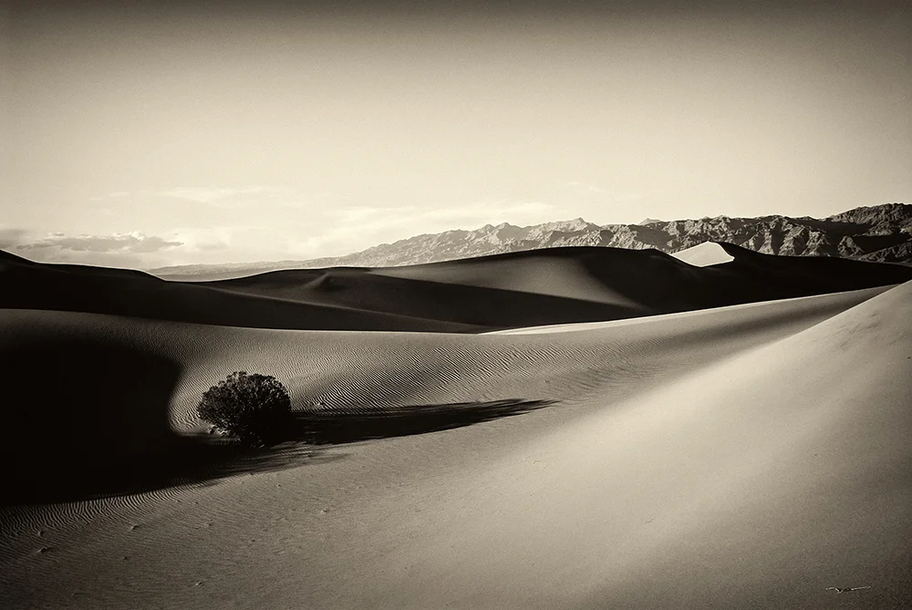jlattanzio_mfsdunes_009_5506.jpg