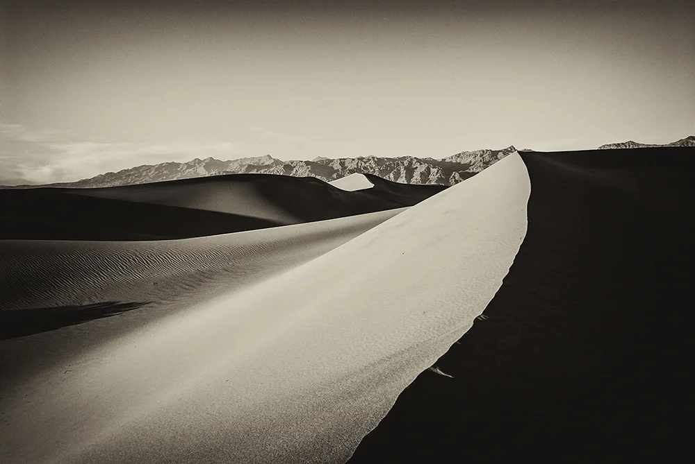 jlattanzio_mfsdunes_012_5503.jpg