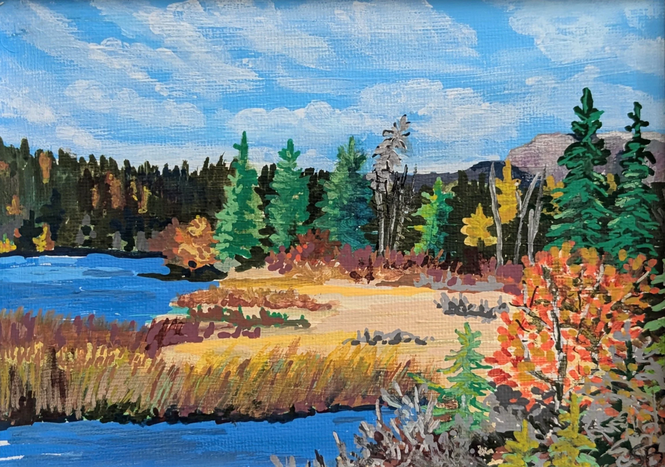 Suzan Berwald - Image 2.jpg