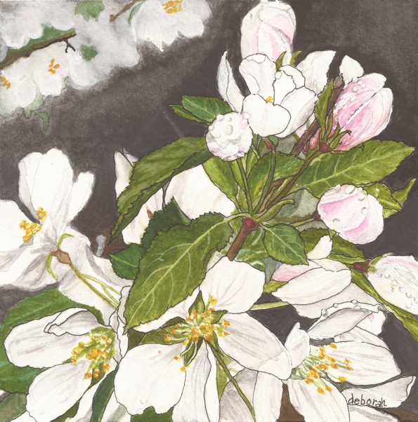 Deborah Faul - Image 1.png