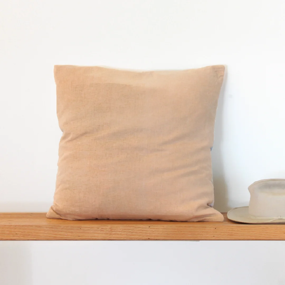 pillow_md_pale_back.jpg