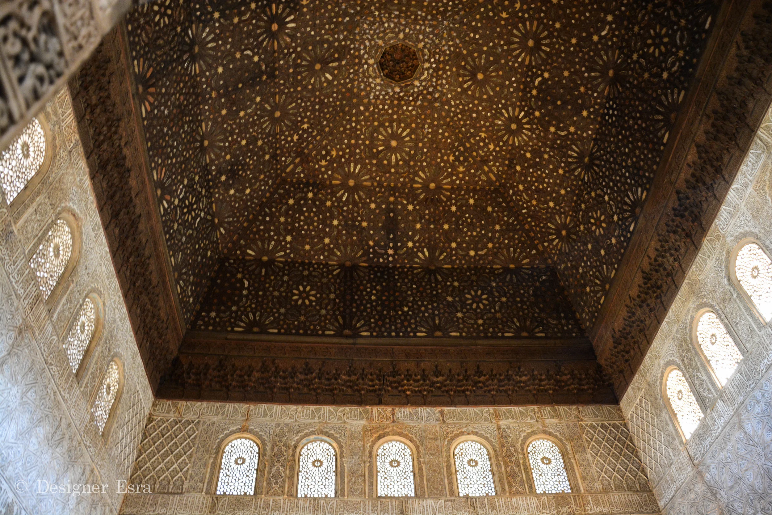 Islamic geometric and biomorphic patterns 