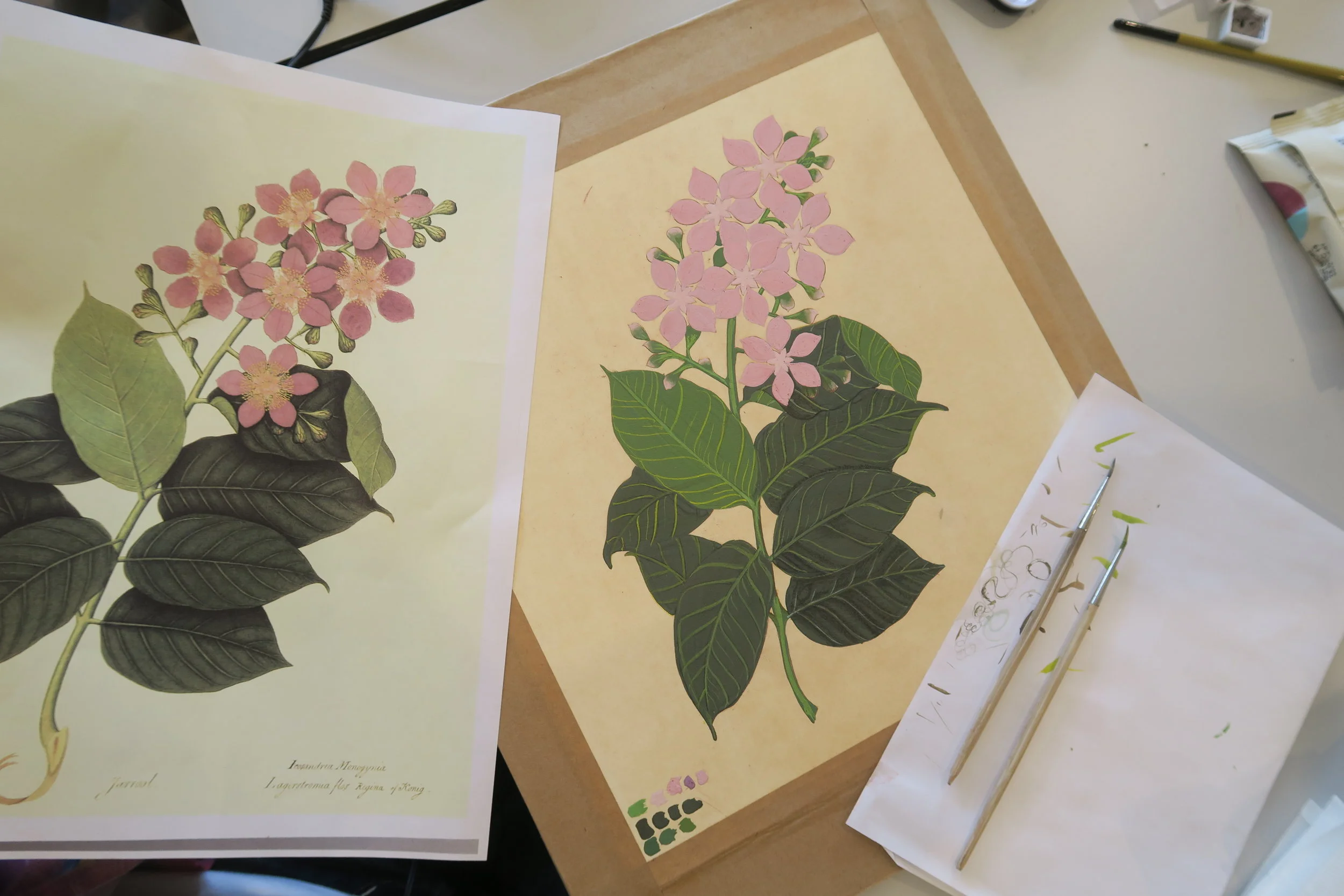 Botanical Indian Miniature 