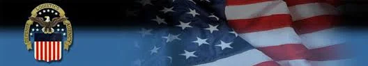 DLA Flag Logo.jpeg