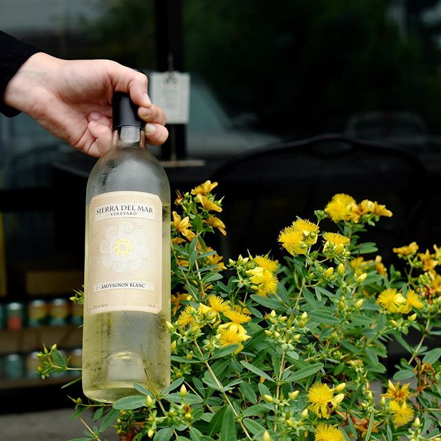 All wine bottles are 30% off all day every Wednesday! Bring a friend and share the love 🥂
#basilspasta #828isgreat #boonenc #appstate #wine #basils #freshpasta #exploreboone #blueridgemountains #northcarolinaliving #booneview #winetasting #appalumni
