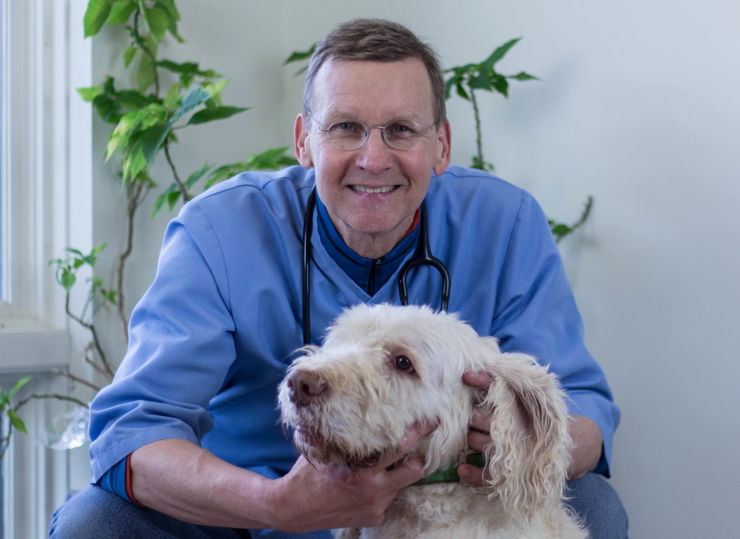 dr dave portrait.jpg