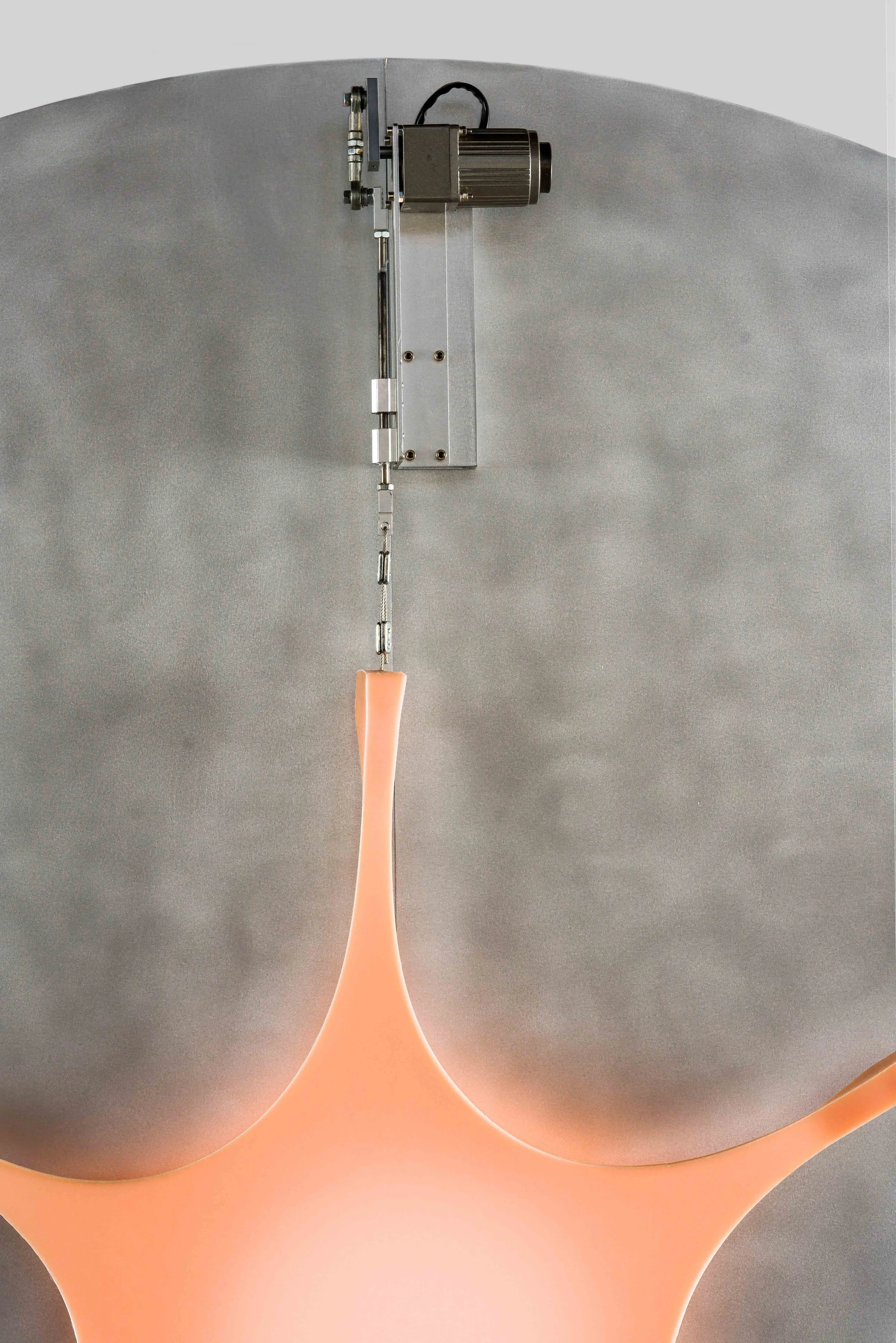 Flesh Light-5.jpg
