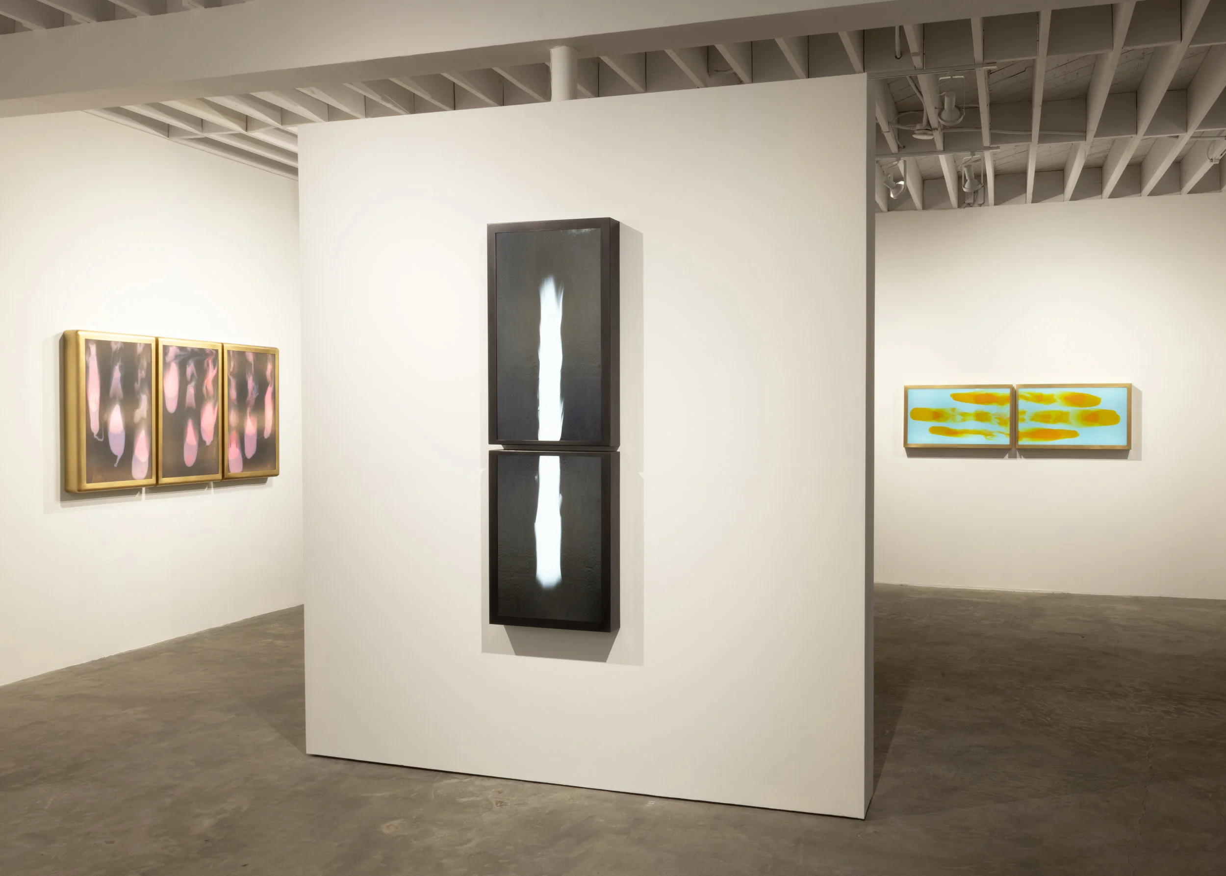 VidereLicet_Meltforms_Installation-5.jpg