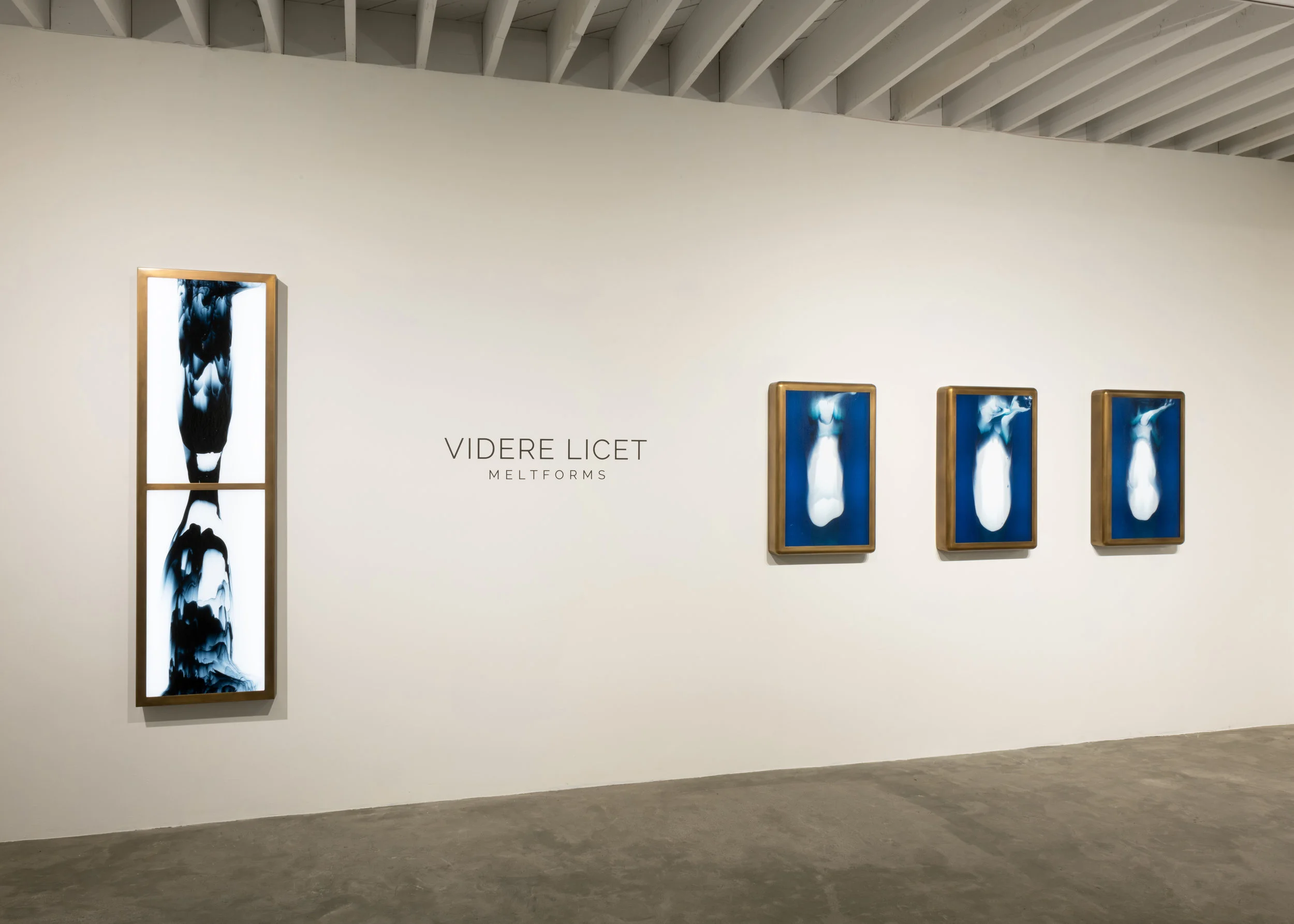 VidereLicet_Meltforms_Installation-6.jpg