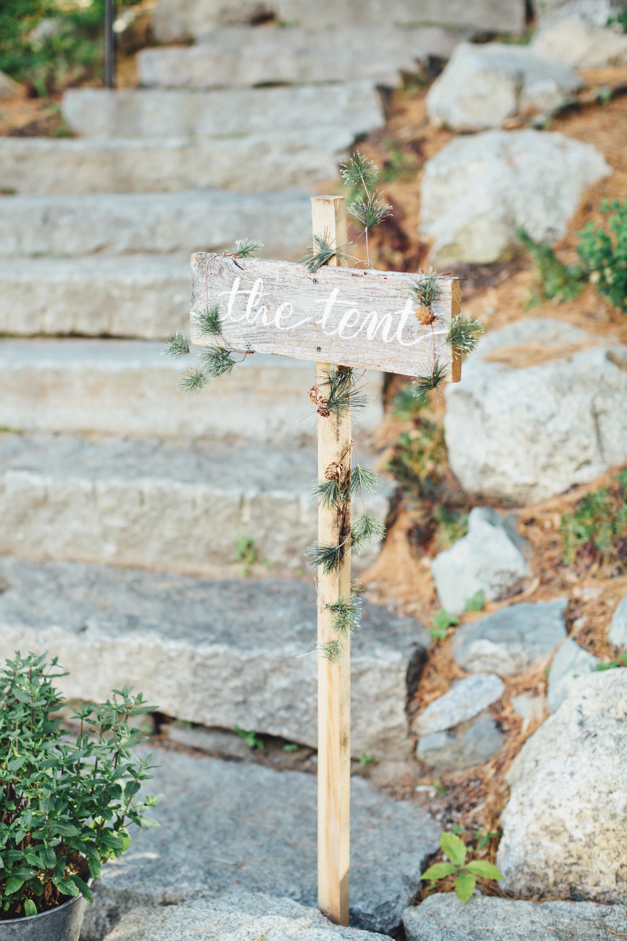 Ann&Patrick-408.jpg