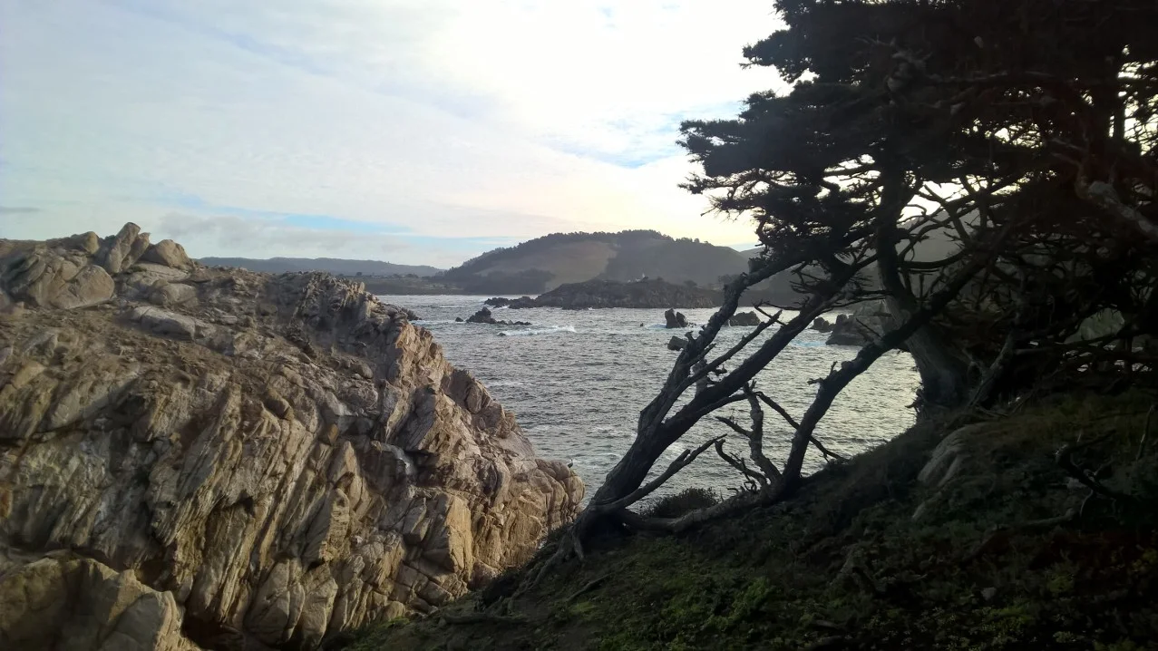 Atonement and Absolution