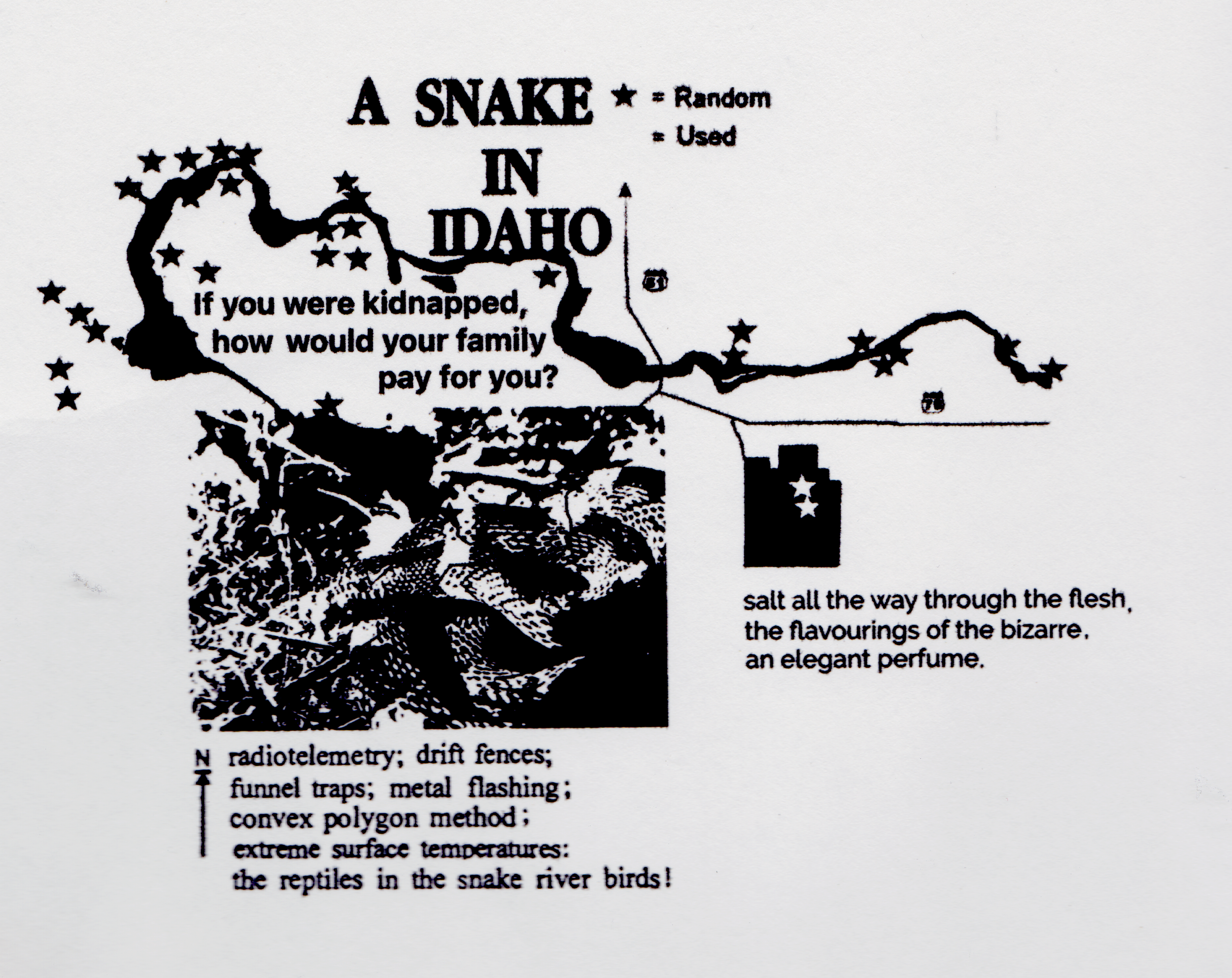 snake.png
