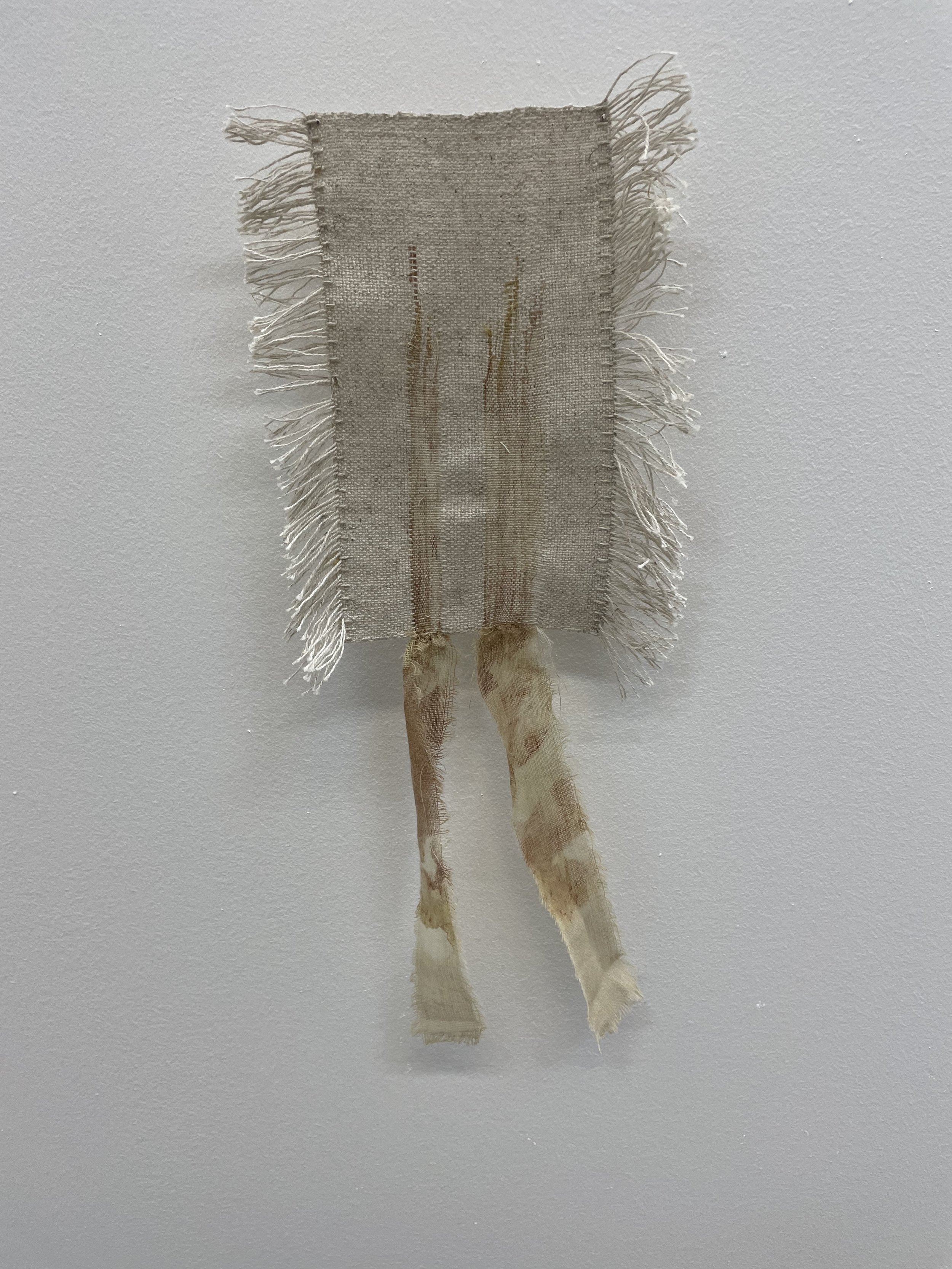 Cheese Cloth