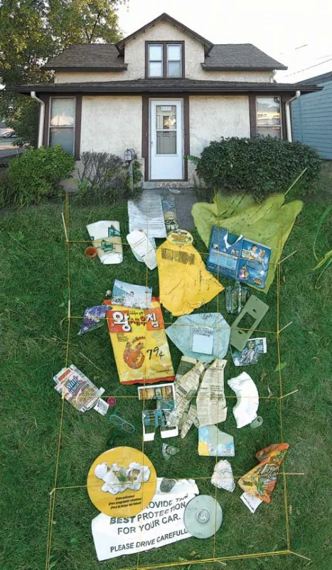 Everything that blew into my yard.