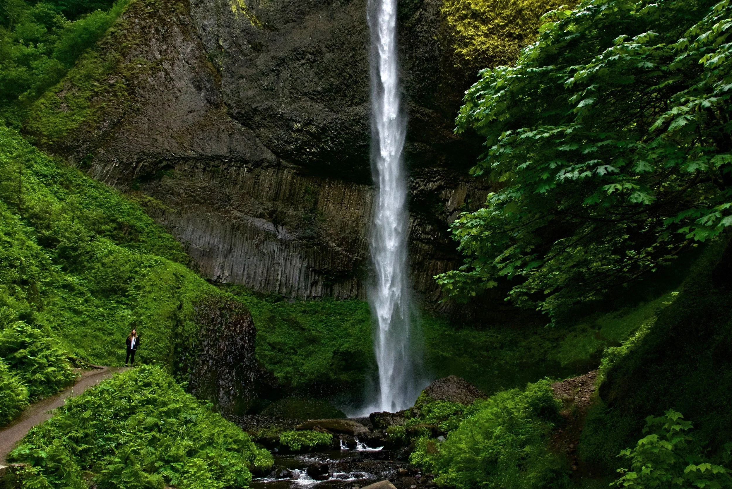 Columbia River Gorge, March 2015