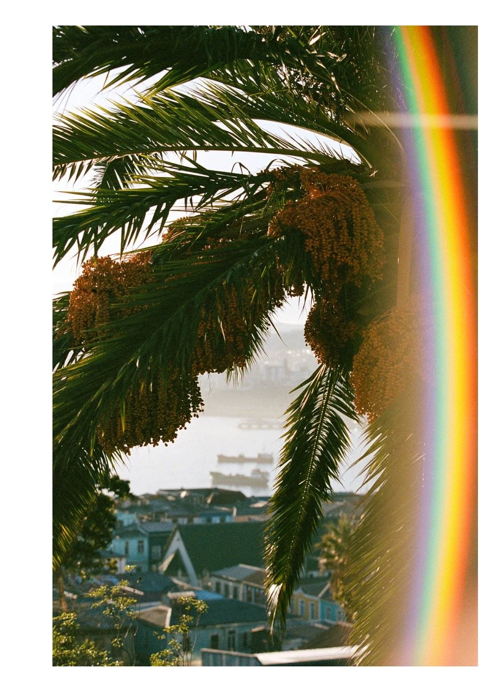 Screen Shot 2023-08-28 at 14.43.02.jpeg