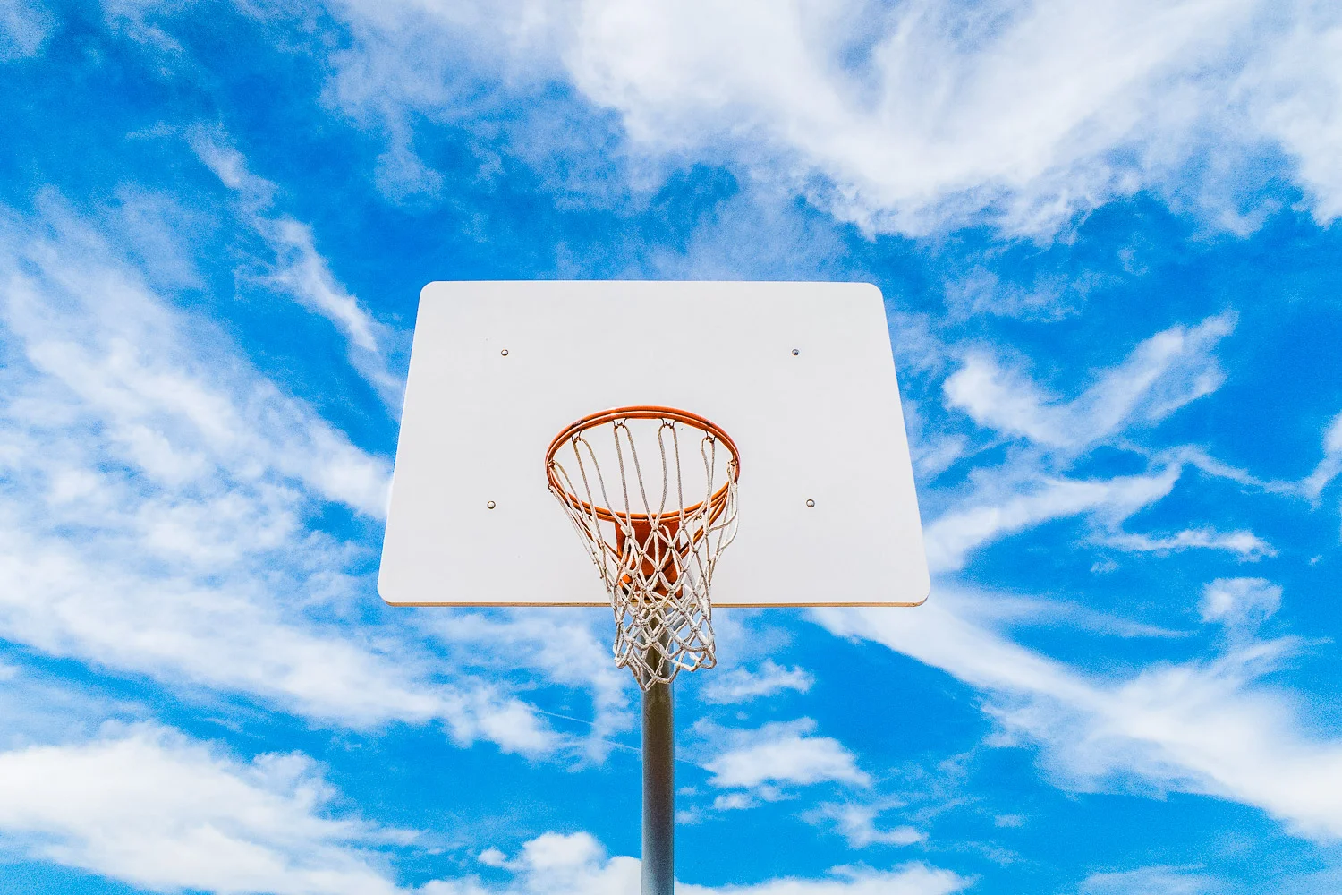 chris-disario-170612-things-basketball-net.jpg