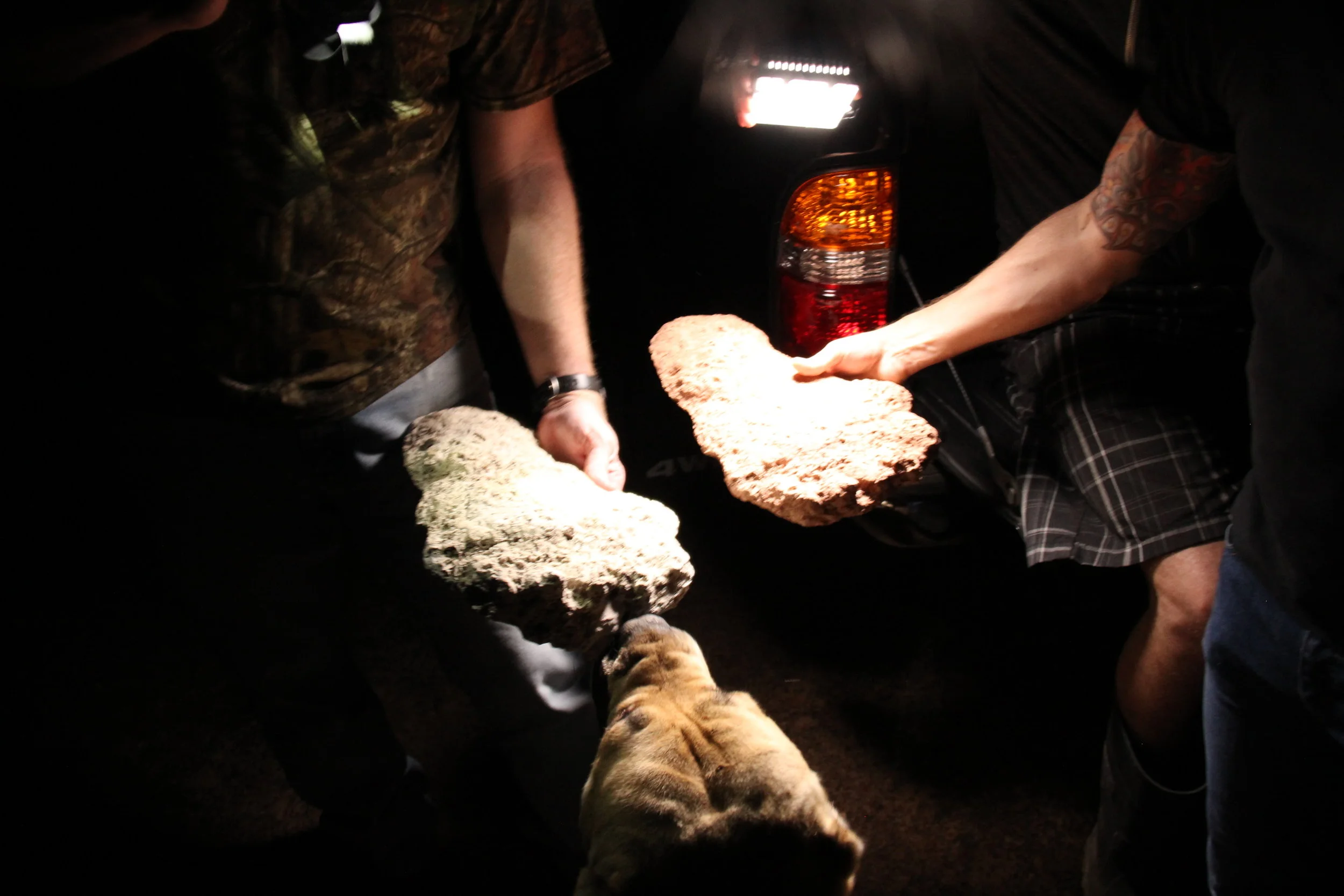 BOGGY CREEK MONSTER casts.JPG